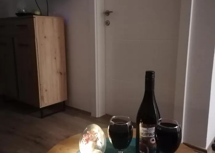 公寓 Tri Srca Banja Koviljača